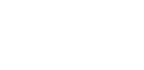Logo Money Shield CMP White